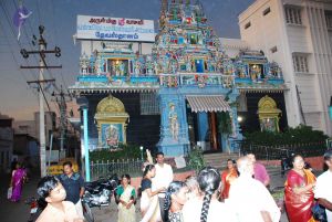 20090130 DSC 0590 CMP WM00-1.jpg