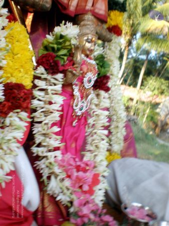 20090131 P1310606 CMP WM01.jpg