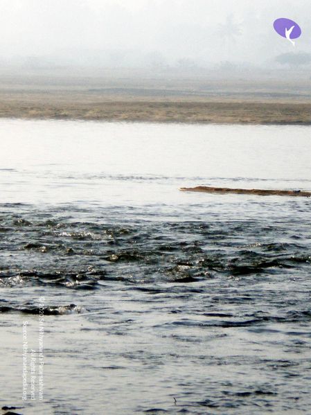 File:20090131 P2010630 CMP WM01.jpg