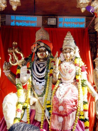 20090131 P2010672 CMP WM01.jpg