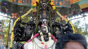 20090131 P2010728 CMP WM01.jpg