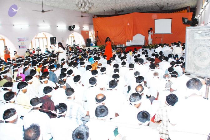 20090203 DSC 0211 CMP WM0001.jpg