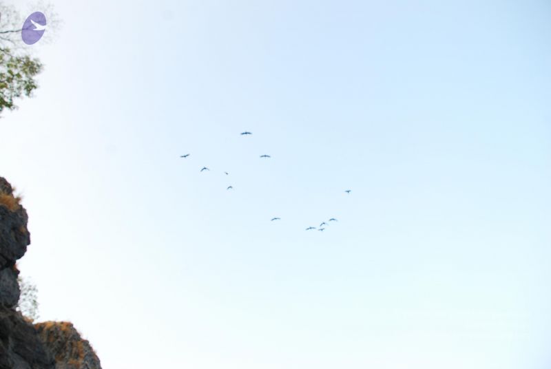 File:20090210 Photo 1058 1KAfVtFksfWEwq2JxE-mIYv5PU2zhGiBj.JPG