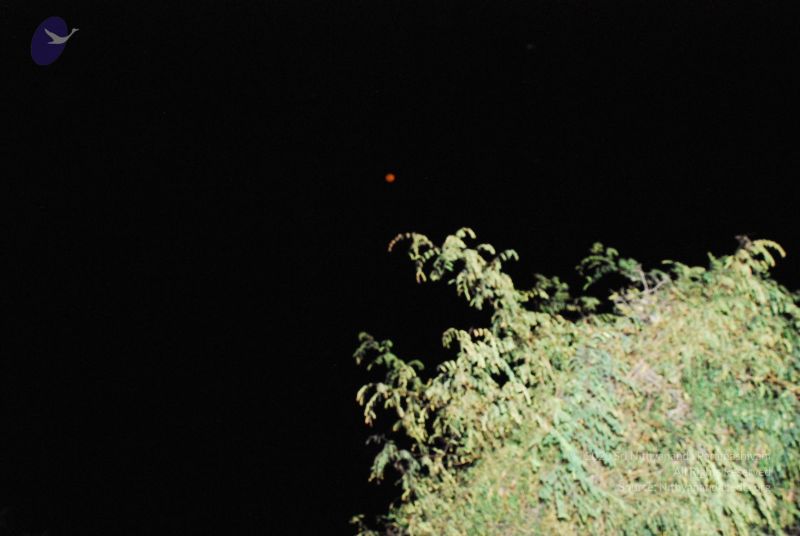 File:20090210 Photo 1064 1stfND7a8ooul Zg0HaFzF6XL5kt3LNtS.JPG