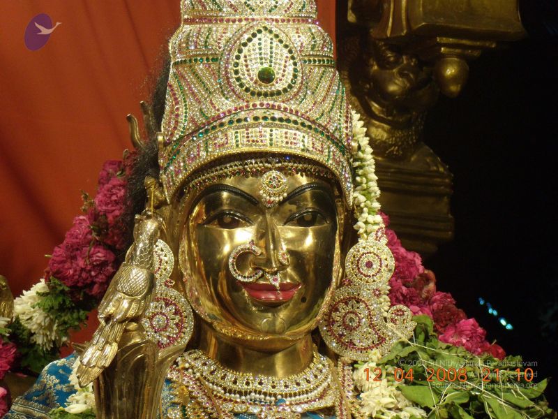 File:20090210 Photo 1100 10MRoW24q52JZpPug1eh-trs K3pQ1SQ8.JPG