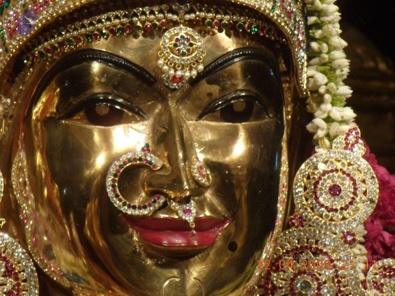 File:20090210 Photo 1102 1HEKNwHt-fJ tiOocwRHZXPtjb XqHWOV.JPG