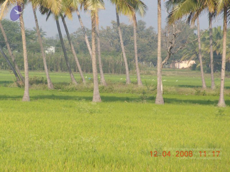 File:20090210 Photo 1140 1iCG5EY06n6BKrxKEnlGNhgQKsn9Osw 9.JPG