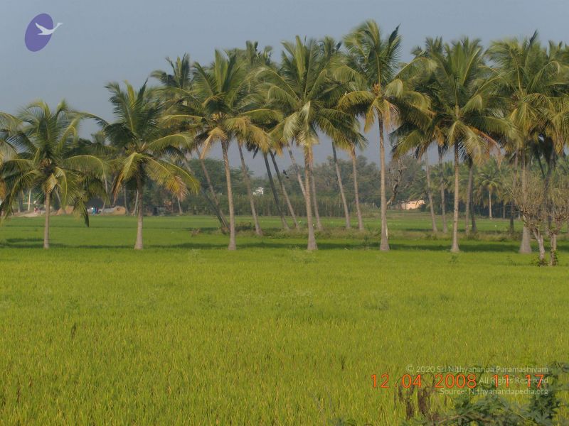 File:20090210 Photo 1141 1HlhgcNEkdNa1cV7ARQPvC01qDDt438rX.JPG