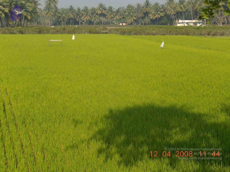 File:20090210 Photo 1143 1AWIZc doWWBeHwYWlPxQ-VszbSBLpjdO.JPG