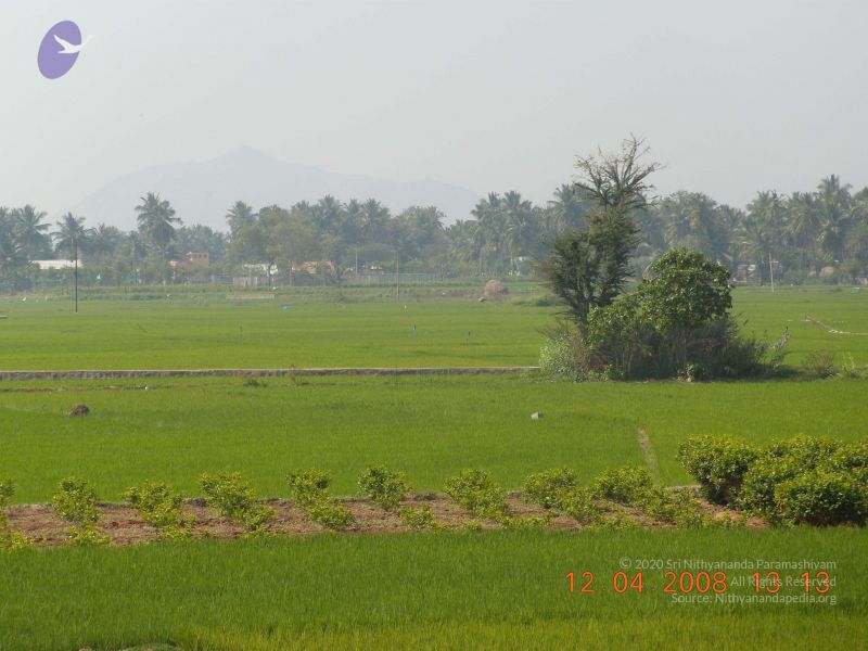 File:20090210 Photo 1189 1hxijlBrCfxqxWf5caJWBN9sKQMMn1Dvv.JPG