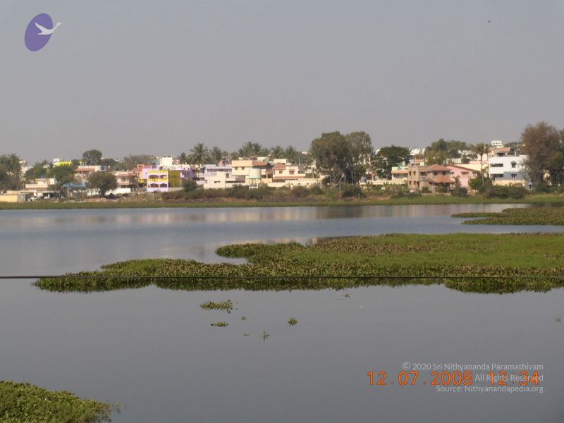 File:20090213 Photo 1132 1FsaAE1N60yQgHz16fiUnGdnVRa0Zb55w.JPG