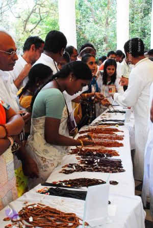 20090214 DSC 0128 CMP WM00-1.jpg