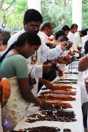 20090214 DSC 0130 CMP WM00-1.jpg