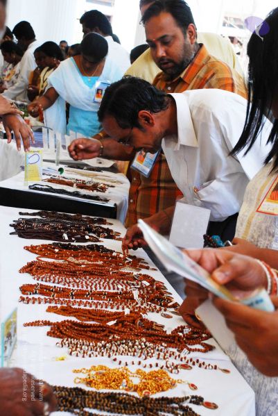 File:20090214 DSC 0139 CMP WM00-1.jpg