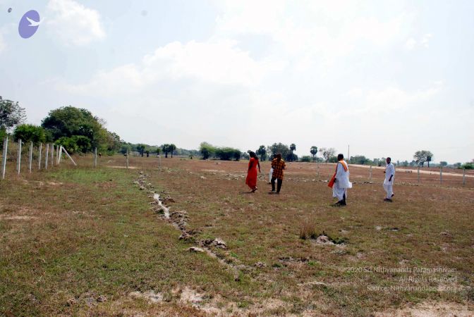 20090215DSC 0228 CMP WM001.jpg