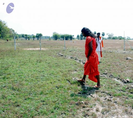 20090215DSC 0232 CMP WM001.jpg