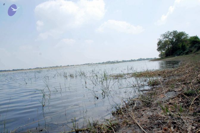 20090215DSC 0262 CMP WM001.jpg