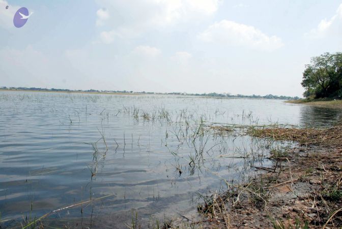 20090215DSC 0263 CMP WM001.jpg