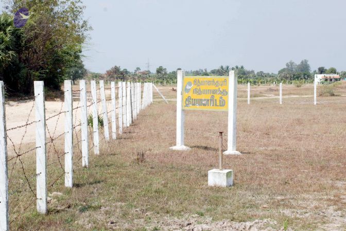 20090215DSC 0270 CMP WM001.jpg