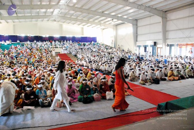 20090215DSC 1278 CMP WM001.jpg