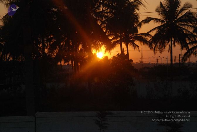 20090216 DSC 0571 CMP WM00-1.jpg