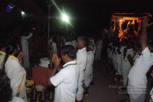 20090216 DSC 0716 CMP WM00-1.jpg