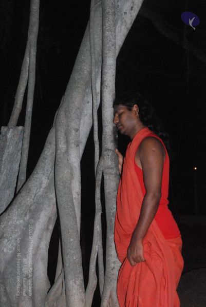 File:20090216 DSC 0729 CMP WM00-1.jpg