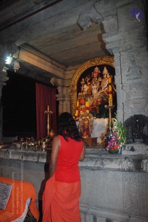 20090216 DSC 0732 CMP WM00-1.jpg