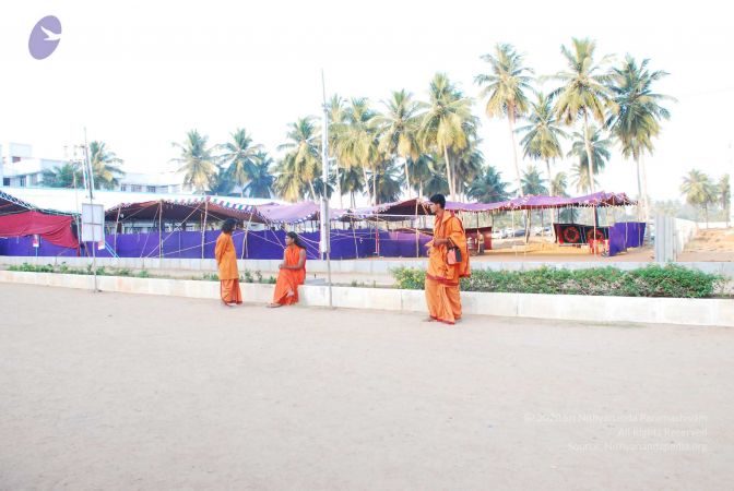 20090301DSC 0240 CMP WM.jpg