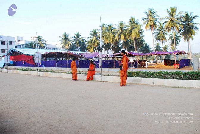 20090301DSC 0241 CMP WM.jpg