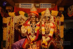 20090303 Photo 1750 1TQAfb40wRVGAk9MzirNZeHe70dFtaKrk.JPG