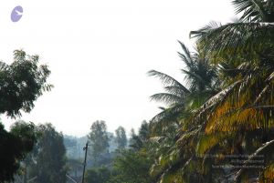 20090601 Photo 1245 18Z4 RSU1FUklh91vJ4mqaIQqB1-wJiEX.JPG