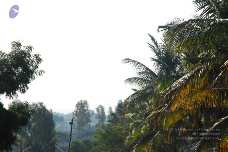 File:20090601 Photo 1245 18Z4 RSU1FUklh91vJ4mqaIQqB1-wJiEX.JPG