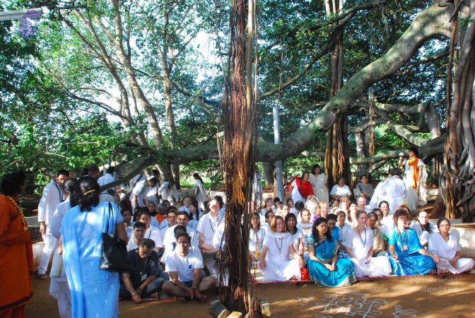 20090601 Photo 1328 1bbHqgrIdiV1XSlxiZYXOGrDihugThvx1.JPG