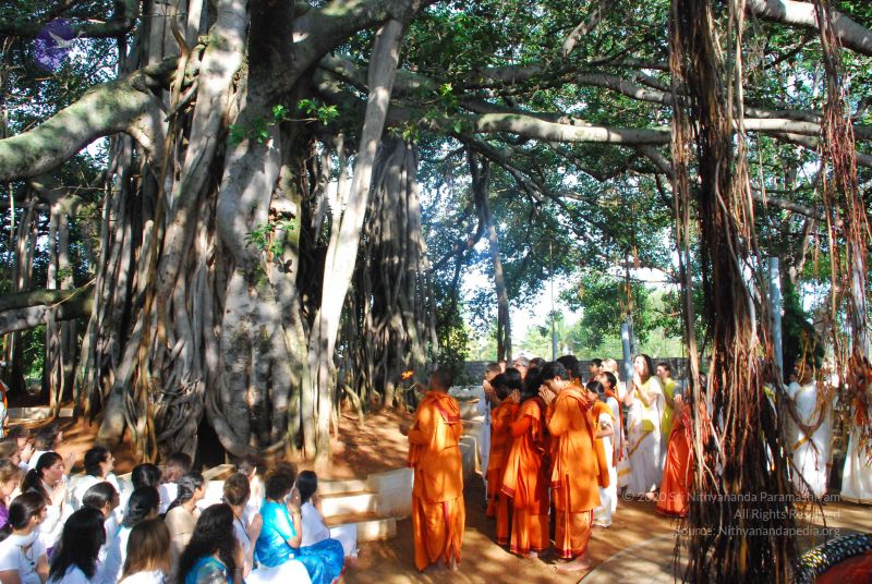 File:20090601 Photo 1340 1GMkMUdVX r2fgrfFz9qIWye53nz5GiIM.JPG