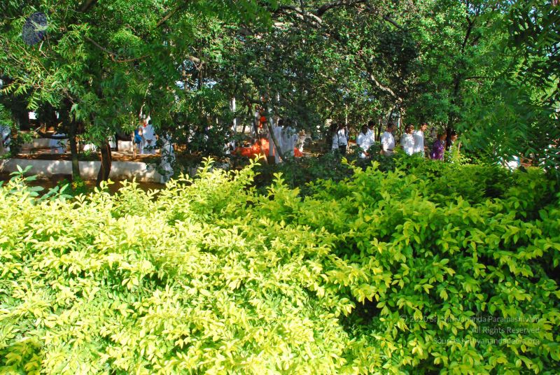 File:20090601 Photo 1364 1UpRrTq9Bmoag46Gju8 tnmSyBBY nmPg.JPG