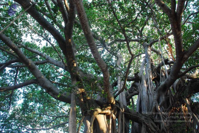 20090602 Photo 1061 1IJvwoo67Rosf0RdTr20NQ6grWQci1sMH.JPG