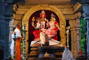 20090605 Photo 1037 1s7LNpTrRIY3edUp6ohmEXuIDVAweWIj8.JPG