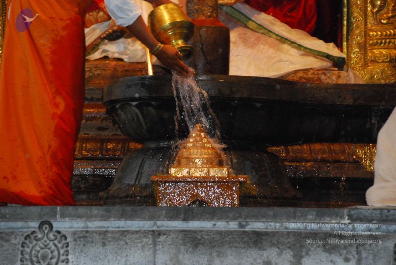 File:20090605 Photo 1042 1Pka7hiHbjrM0YZOQ2Yddn6t zIjtbMLn.JPG