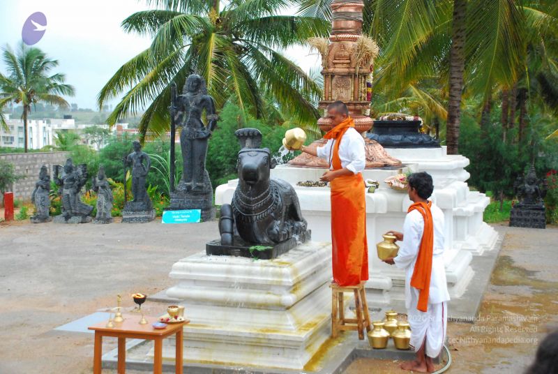 File:20090605 Photo 1058 1cBBmS-FPEzrVsP7IG8MxDZ1WOIbG6zXs.JPG