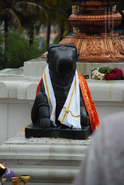 File:20090605 Photo 1071 1VNeHgpM9ZUgl50HJHxnZsiimYN1d7mey.JPG