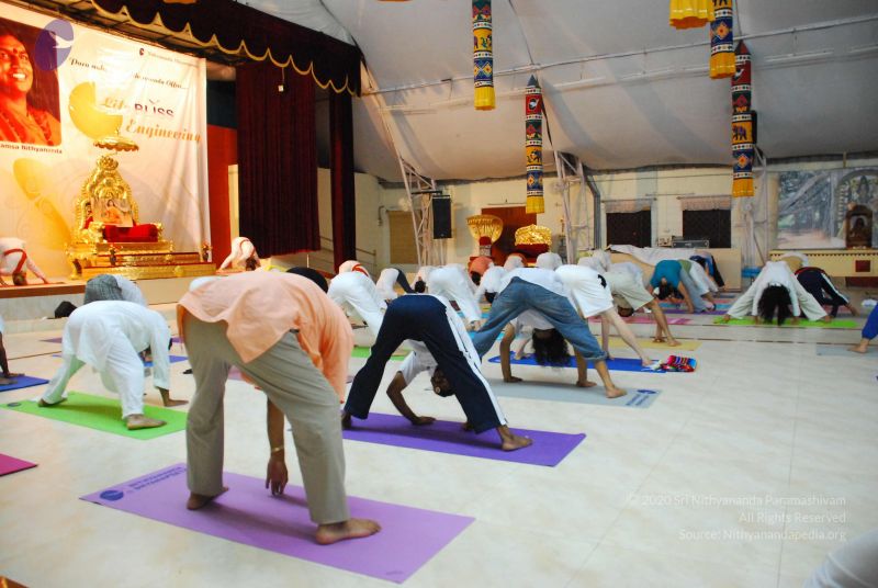 File:20090605 Photo 1095 1qfv26NN3qkv6UUzfaq3yJ19W2bCNQuwl.JPG