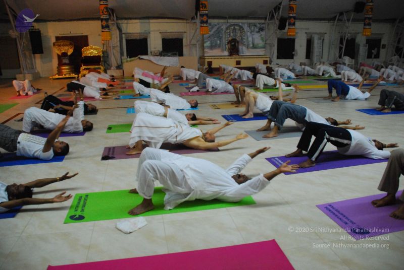 File:20090605 Photo 1100 1B-hktSr5p5nyQ9OTaSoXU1mQeJr00mMb.JPG