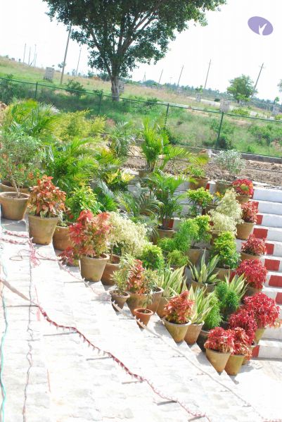 File:20090609 Photo 1034 19x52PNcIKCcnXjRpFlTvFm5L50kPSYEp.JPG