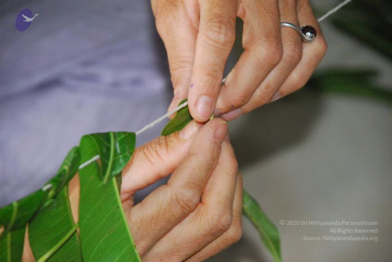 File:20090609 Photo 1059 1yqcbqbfO2157fi-qnzFgLZ1CWflfjoIR.JPG