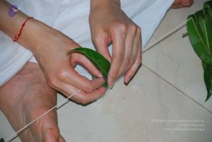 20090609 Photo 1061 1VKbV-hdUGl7Z7SgZJCn53LEC2Hr7GW5s.JPG