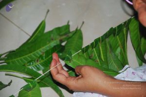 20090609 Photo 1063 1TyGGSLWDDhnzaU9eI5QLIM7fhSw8anXH.JPG