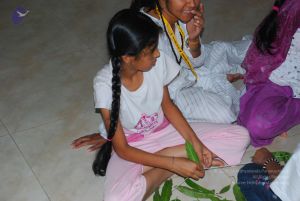 20090609 Photo 1064 1hMaM00TFs1WHJT5-yBSa43DQ4w YaFqy.JPG