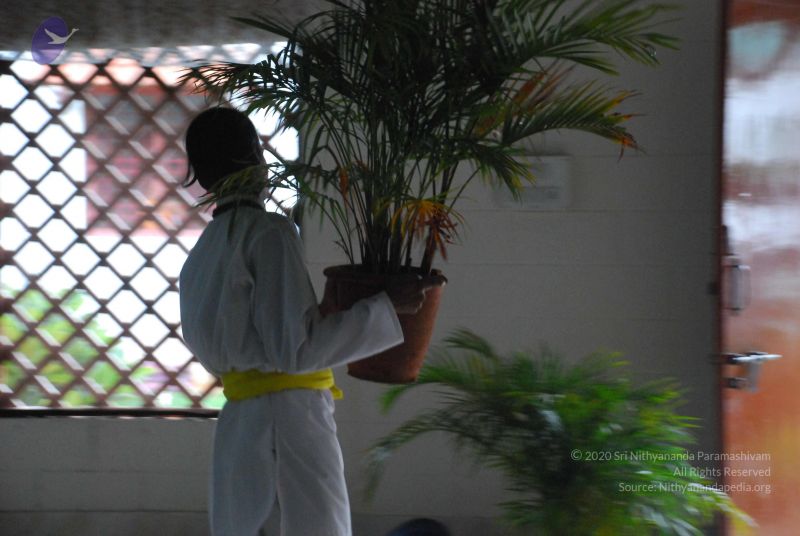 File:20090609 Photo 1070 1slgdwiazz6H-dbFu8H8fWd Y9k tYfyE.JPG