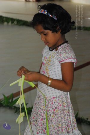 20090609 Photo 1087 1QLDcuXmHU5aV-JY5RurRgX0644N4Scqy.JPG